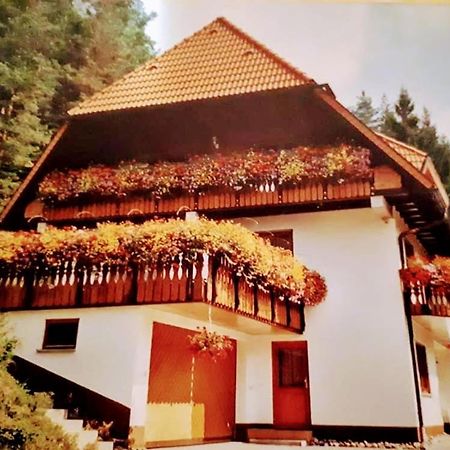 Apartamento Ferienwohungen Im Kuchersbach Hornberg Exterior foto