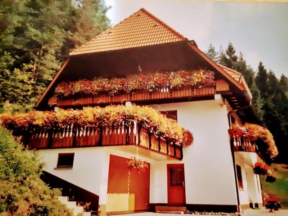 Apartamento Ferienwohungen Im Kuchersbach Hornberg Exterior foto