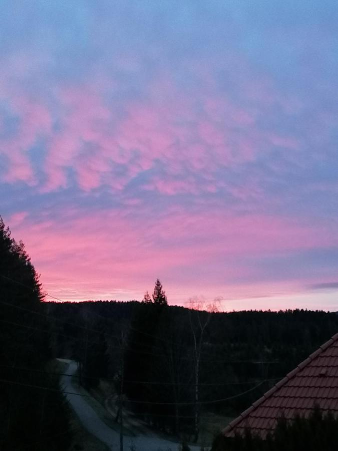 Apartamento Ferienwohungen Im Kuchersbach Hornberg Exterior foto