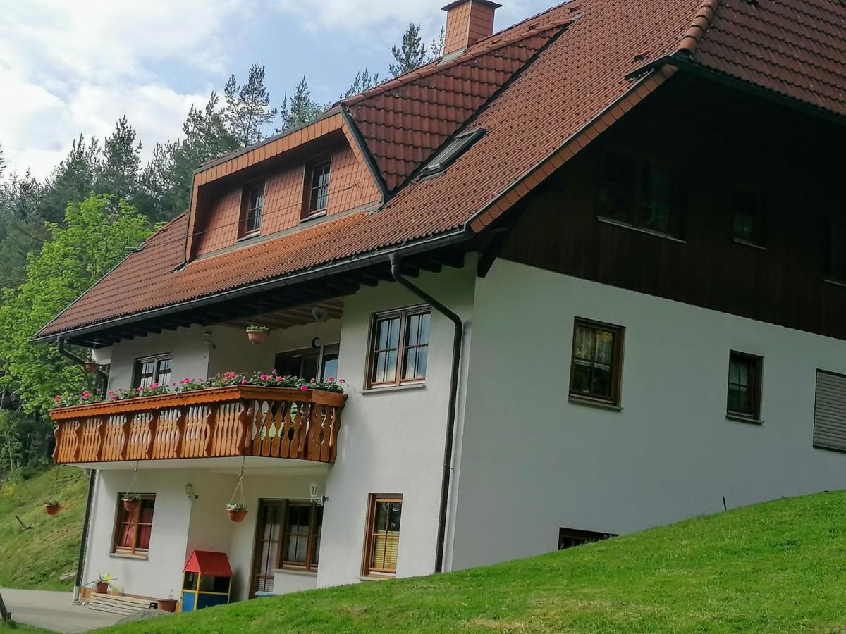 Apartamento Ferienwohungen Im Kuchersbach Hornberg Exterior foto