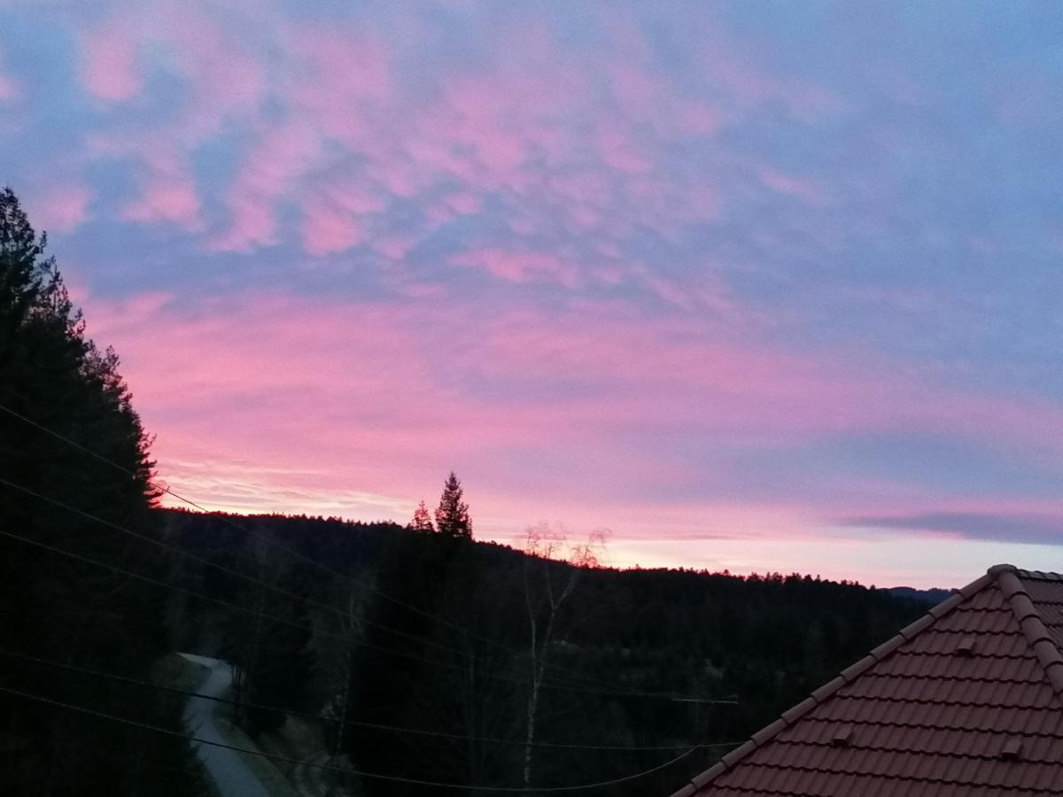 Apartamento Ferienwohungen Im Kuchersbach Hornberg Exterior foto