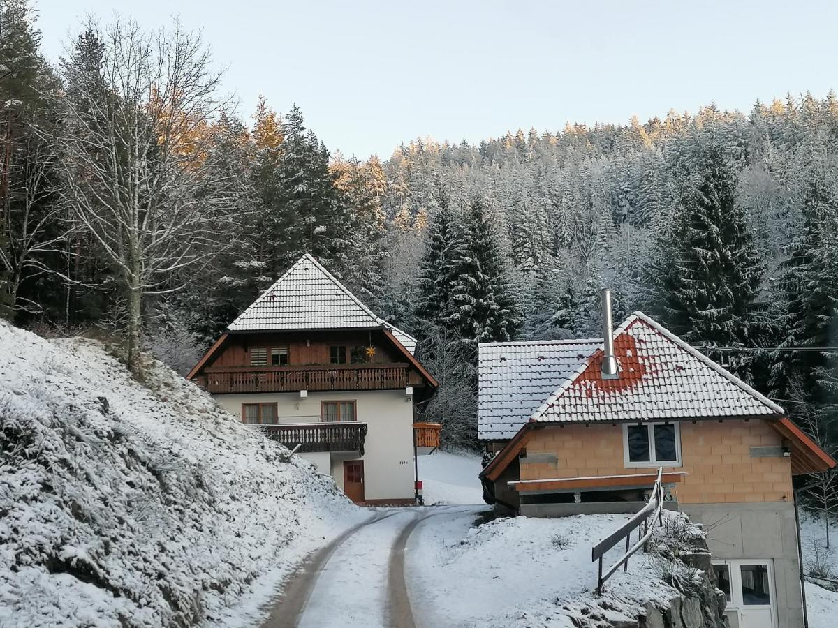 Apartamento Ferienwohungen Im Kuchersbach Hornberg Exterior foto