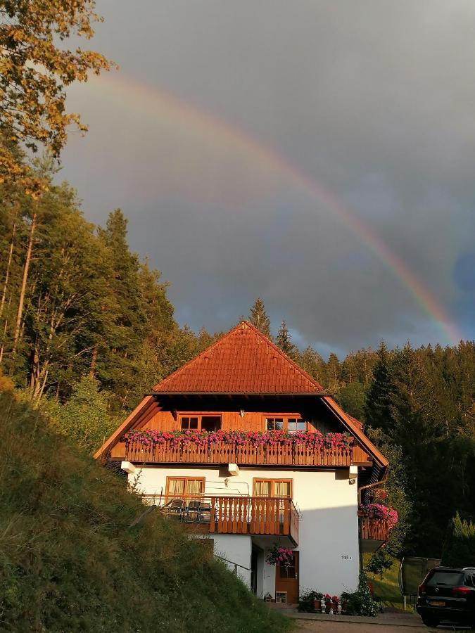 Apartamento Ferienwohungen Im Kuchersbach Hornberg Exterior foto