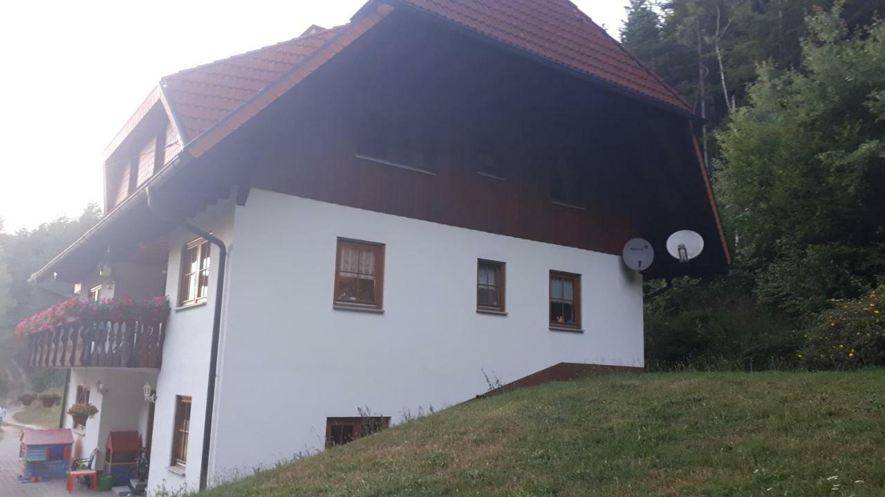 Apartamento Ferienwohungen Im Kuchersbach Hornberg Exterior foto